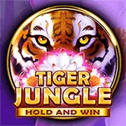 Hình ảnh tổng quan về an toàn và uy tín của 788bet code với các yếu tố bảo mật và giải trí